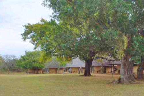 pretoriuskop (2)